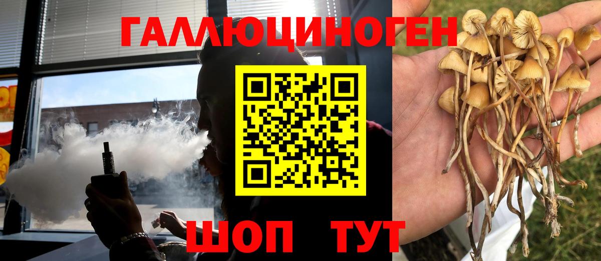 Псилоцибиновые грибы Magic Shrooms  Заволжье  Галлюциногенные грибы GOLDEN TEACHER 