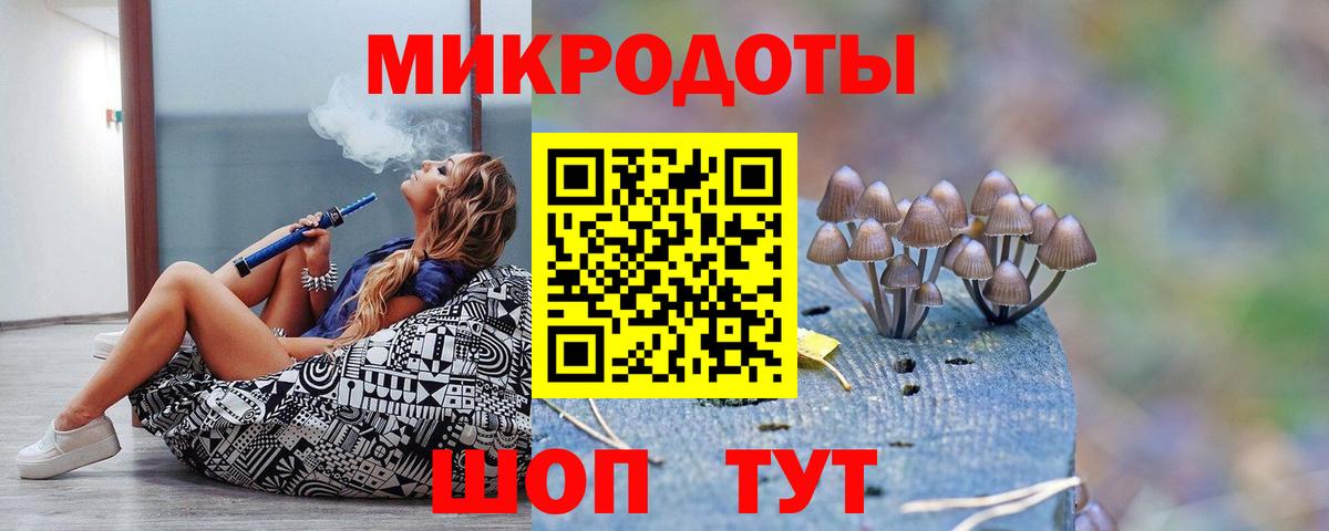 Заволжье  закладки  Вход с VPN  Галлюциногенные грибы Psilocybine cubensis 